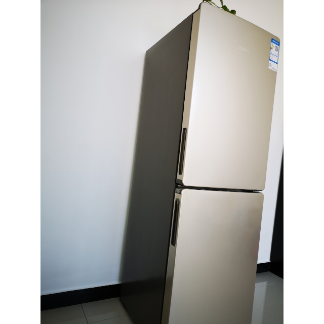 海尔(haier)bcd-190wdpt 190升双门小冰箱 风冷无霜 炫彩金外观 节能