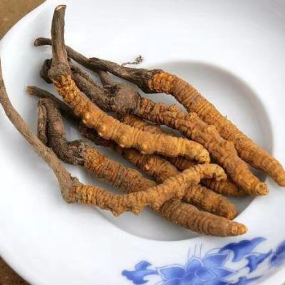 益升源玉树冬虫夏草3根1克野生那曲冬虫草东礼盒正品1g鲜虫草西藏