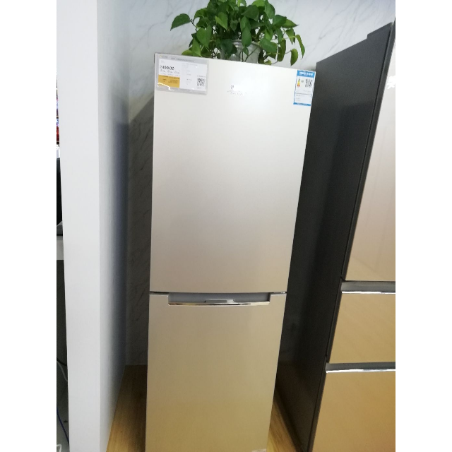 扎努西伊莱克斯zanussizbe2350hca235升风冷两门家用节能电冰箱金色