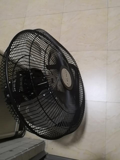 金羚趴地扇摇头台地扇爬地扇工业风扇摇头强力风扇台式落地扇电扇 fe8