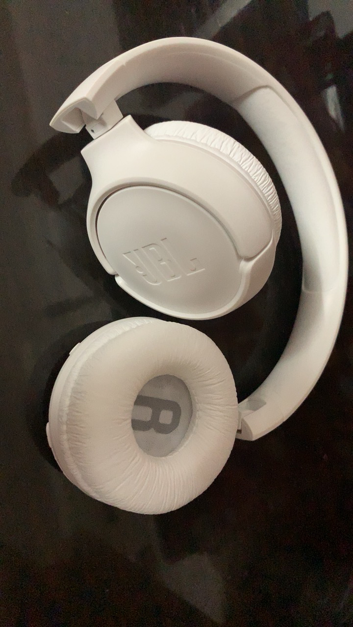 蚂蚁bt怎么不能用_bt蚂蚁用不了之后怎么办 蚂蚁bt怎么不能用_bt蚂蚁用不了之后怎么办（蚂蚁bt为什么不能用了） 磁力资讯