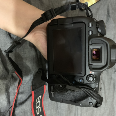 佳能（Canon）EOS 6D2（24-105 f/4L USM）全画幅数码相机专业单反单镜头套装像素约2620万晒单图