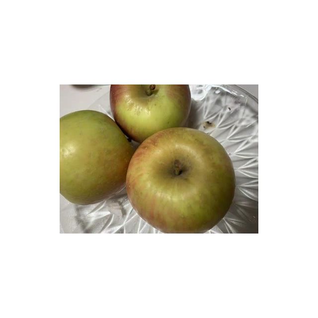 츮ƻˮţƻ5758014öиʳ