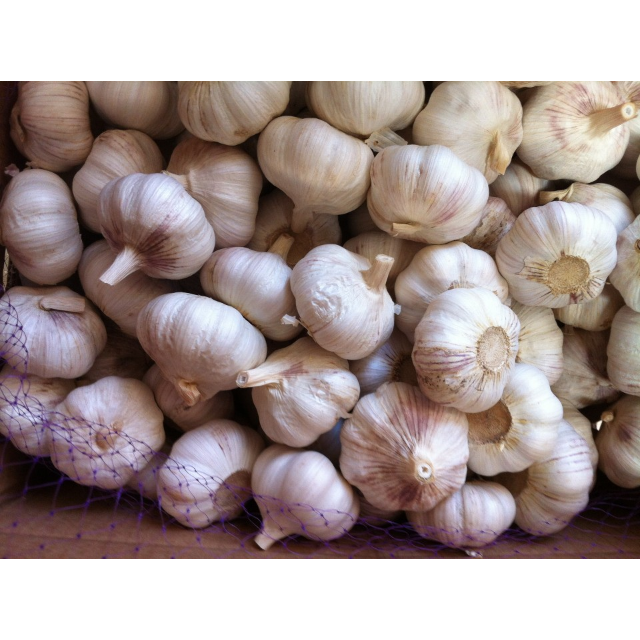 精选山东白干大蒜头干蒜5斤