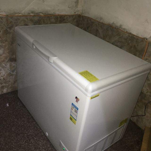 海尔haierbcbd318hd318升商用大冰柜家商两用大动力冷柜节能省电断电