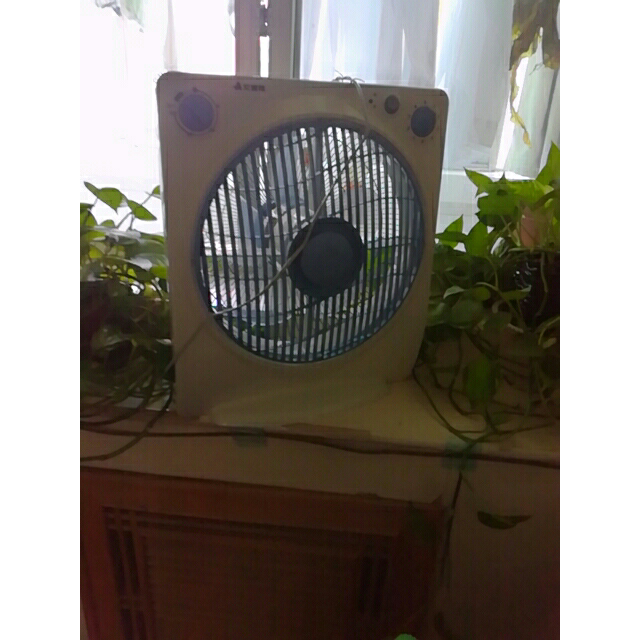 艾美特台式转页扇鸿运扇定时12吋倾倒断电家用办公室宿舍4档风量