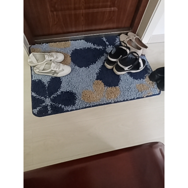 入门地垫进门踩脚垫家用吸水防滑地毯客厅卧室门厅大门垫子脚踏垫