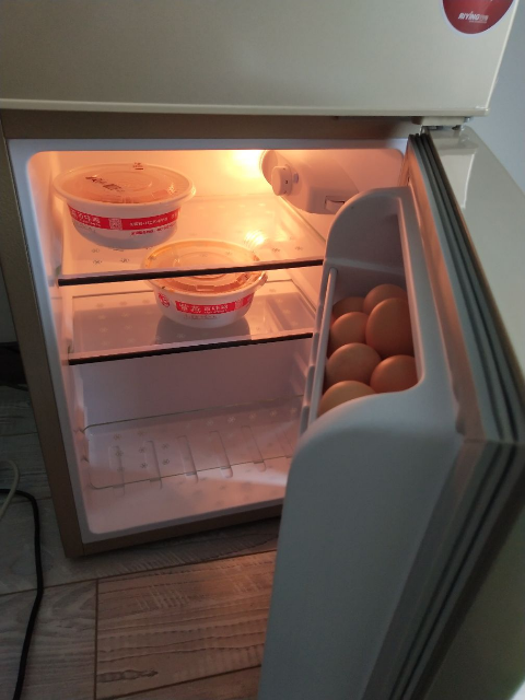 日樱(riying)bcd-82m 82升 双门冰箱 小型家用 电冰箱直冷 冷藏冷冻