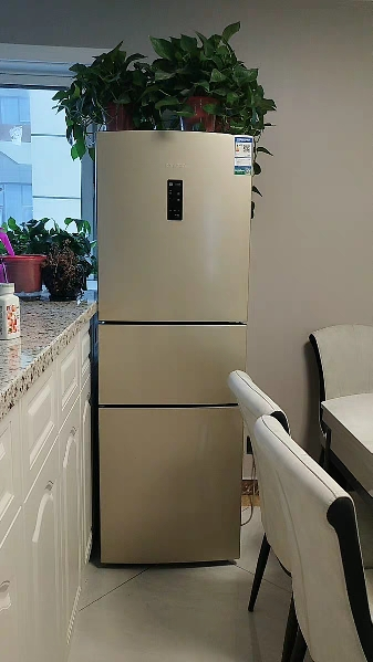 容声(ronshen)bcd-221wd16ny 221升 三门冰箱 电脑控温 风冷无霜 中门