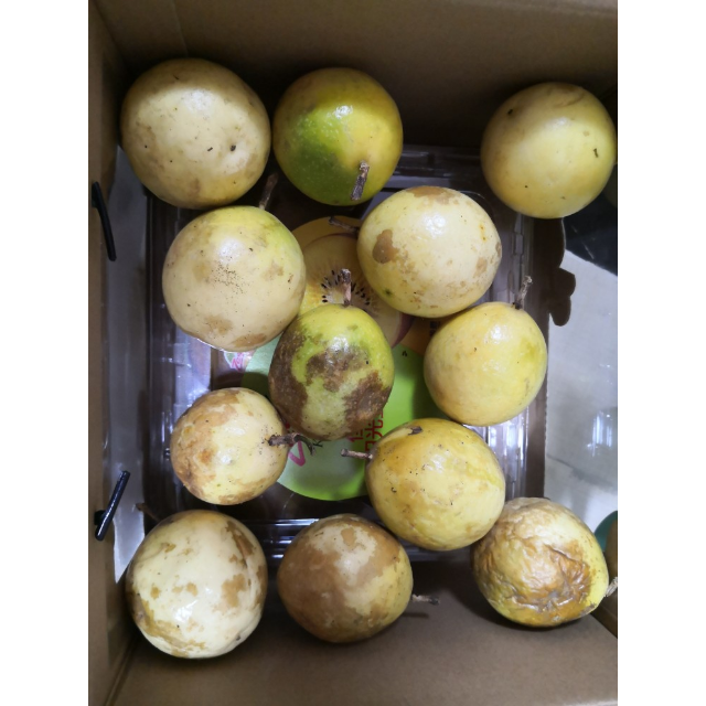 预售7天内发货福建黄金百香果12个装单果4050mm热带水果新鲜西番莲