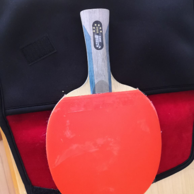 红双喜dhs乒乓球成品拍r6002双面反胶横拍弧圈结合快攻6星单拍