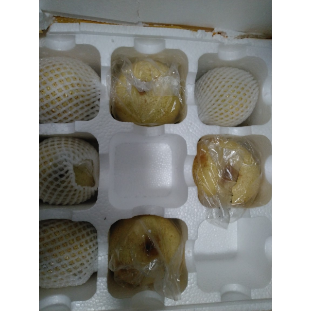 新鲜砀山皇冠梨5斤装当季青皮梨梨子水果脆甜多汁现摘梨砀山酥梨