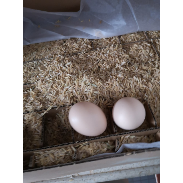 > 【誉福园】农家谷饲鸡蛋 五谷杂粮喂养 月子蛋 笨鸡蛋草鸡蛋30枚