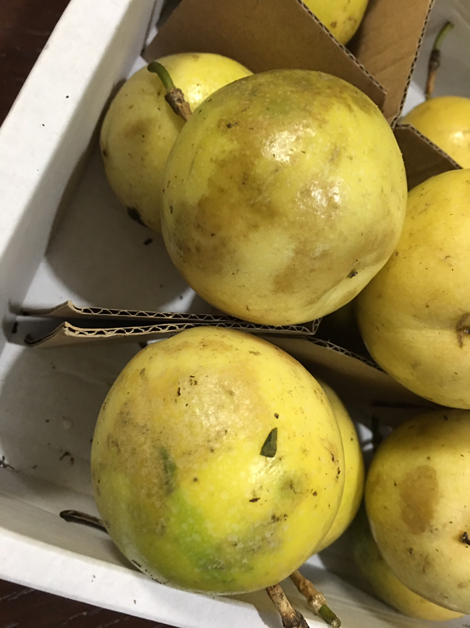 福建漳州 黄金百香果 12粒礼盒装 单果60g起 新鲜水果晒单图