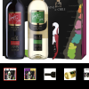 智利进口红酒 彩风红、白葡萄酒双支礼盒套装750ml*2瓶晒单图