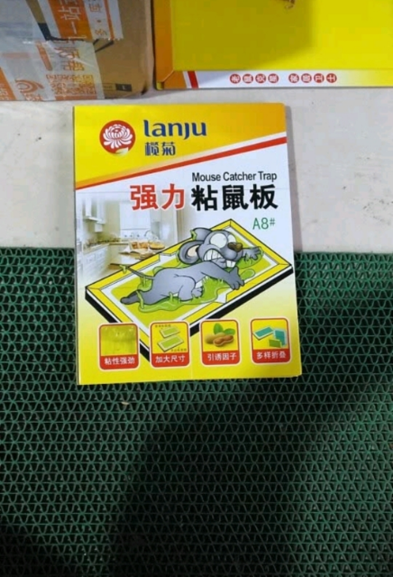 榄菊 粘鼠板老鼠贴 灭鼠板捕鼠器 5板装 加厚款 老鼠夹物理捕捉吱吱板