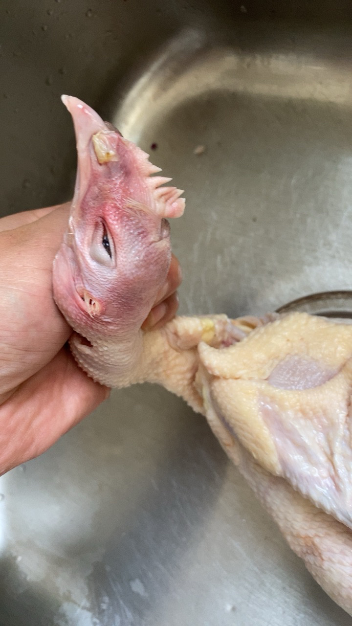 农家土鸡老母鸡一只装 生态散养柴鸡700天 2斤 农村新鲜草鸡笨鸡乌鸡