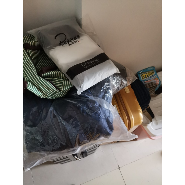 芷臻zhizhen新款冬季反季女士款轻薄立领可收纳羽绒服女士短款外套大