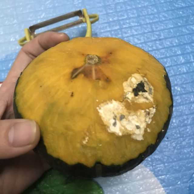 贝贝南瓜板栗味小南瓜约25kg粉糯香甜新鲜迷你宝宝辅食