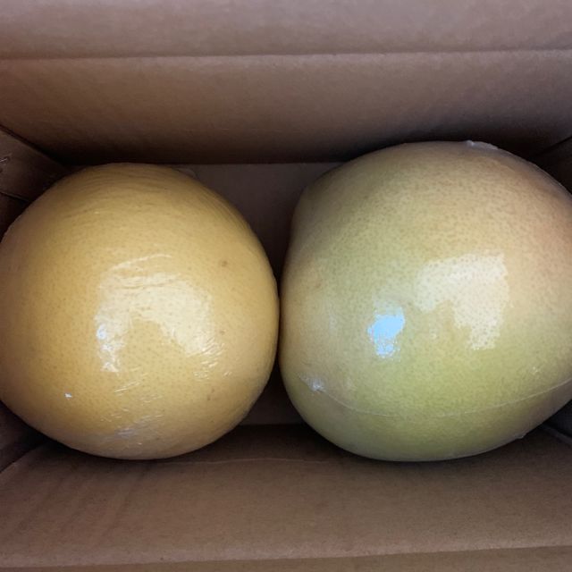 > 平和琯溪红肉柚子小果2个 共约3-4斤商品评价 > 满意的一次购物