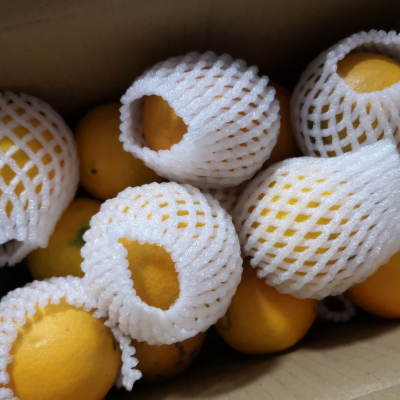 【元宵后发货】现摘现发江西赣南脐橙2.5斤(净重) 果径55-60mm