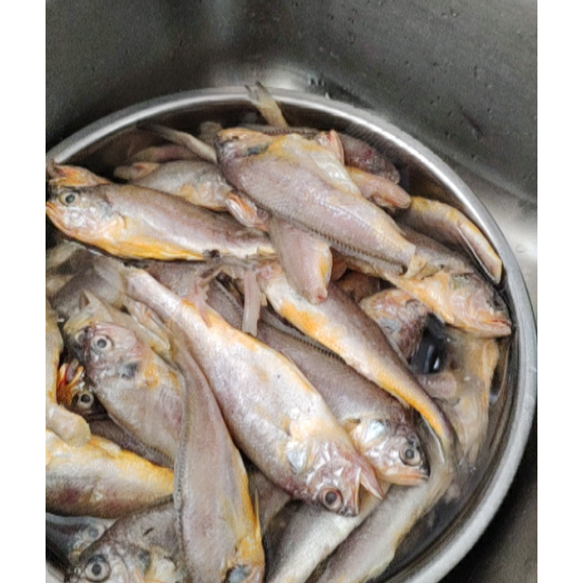 5斤装味库新鲜船冻小黄鱼含5斤装1012条90急冻锁鲜肉质饱满