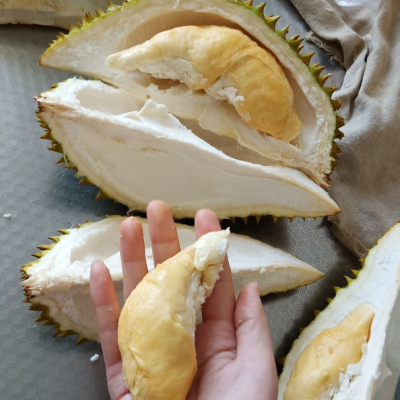 硕馥果园 泰国金枕头榴莲 1-2个装 7-8斤新鲜水果