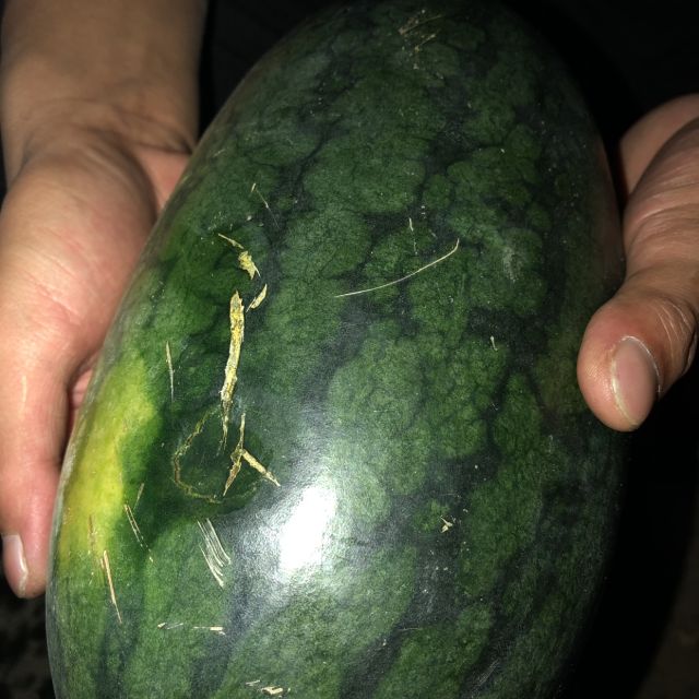 百宝源北京大兴庞各庄西瓜 3-4斤 1-2个 小御瓜 小西瓜 新鲜水果 皮