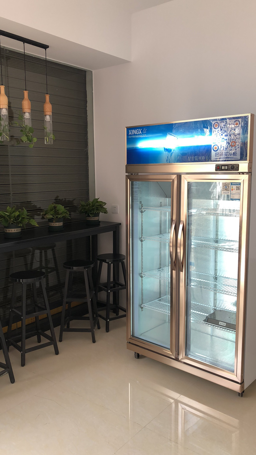 星星(xingx)lsc-518y 商用立式冰柜 双门保鲜展示柜冷藏冰箱 电子温显