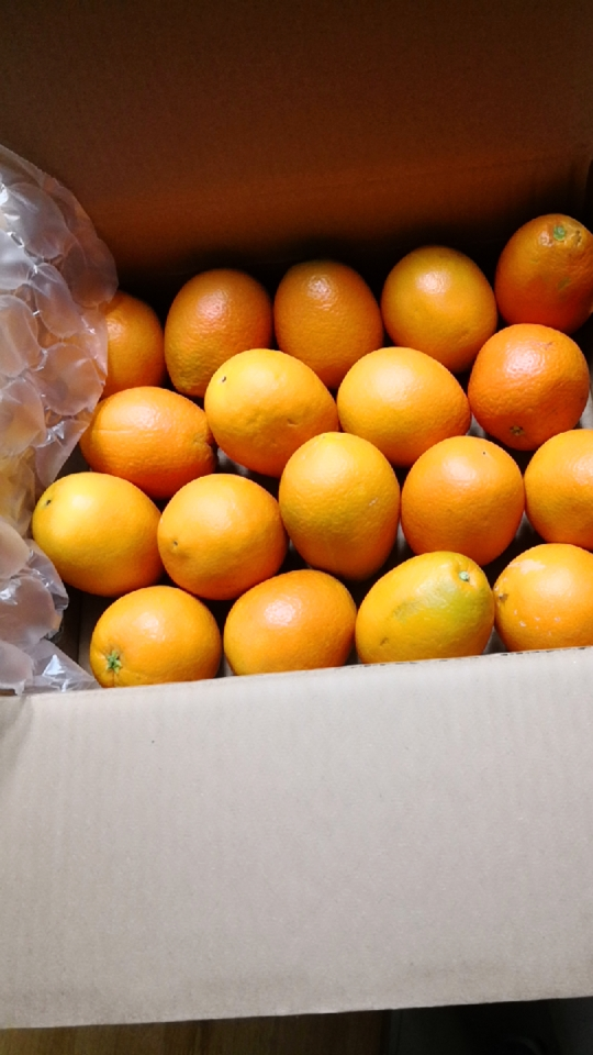 我们为您提供食品橘子的优质评价,包括食品橘子商品评价,晒单,百万