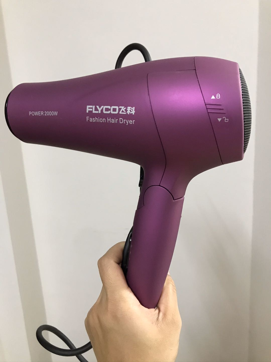 飛科(flyco)2000w電吹風機家用冷熱風大功率吹風筒負離子電風吹可摺疊