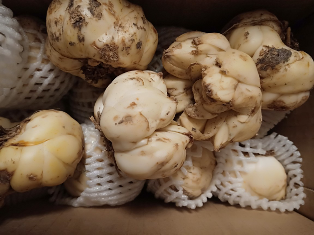 百合新鲜蔬菜鲜百合3斤实惠装 食用药百合 非兰州百合菜百合晒单图