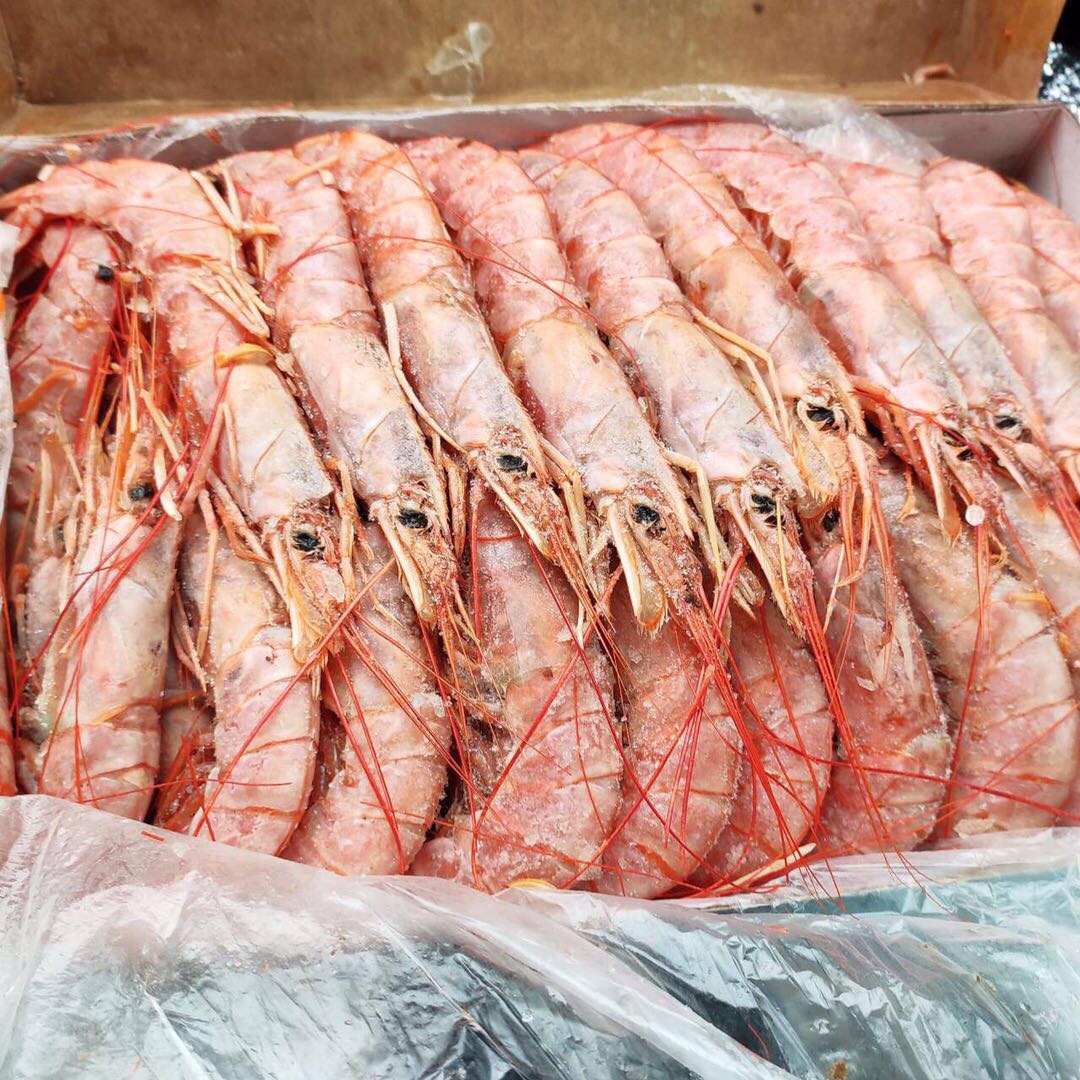 【阿根廷红虾4斤仅129】特大l2新鲜超大虾鲜活 海捕大虾海鲜水产船冻