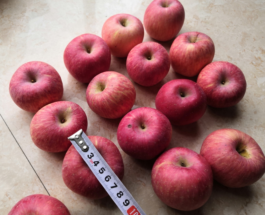 【中华特色】 白水馆 陕西当季 白水苹果 果径75mm~80mm 6枚装 红富士