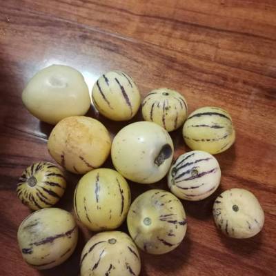 云南人参果8斤 人生果 新鲜水果