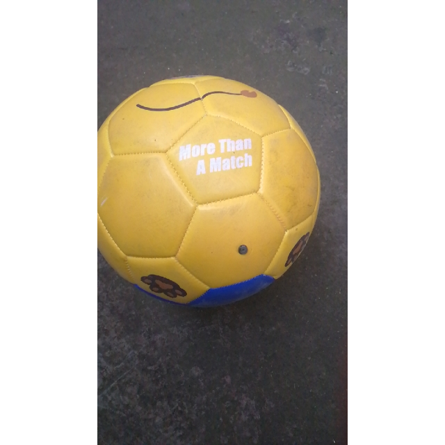 > 苏宁足球俱乐部萌狮礼品球(4号) 4号 黄色商品评价 > 足球收到了,还