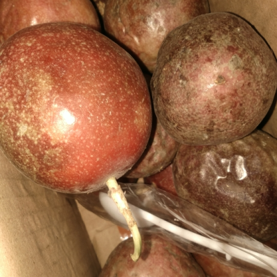 颖珊 广西百香果中果5斤 热带水果新鲜鸡蛋果酱原浆红果榨汁当季整箱