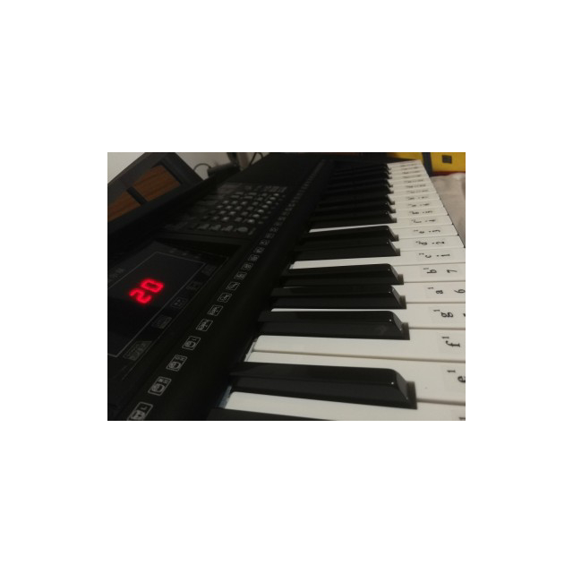 新韵xinyun365电子琴成人儿童幼师专用初学者成年61钢琴键盘便携式