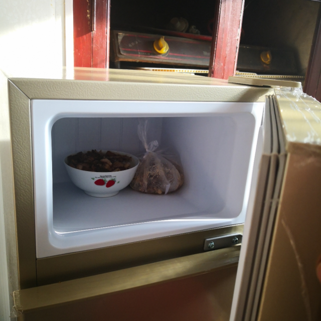 日樱(riying)bcd-82m 82升 双门冰箱 小型家用 电冰箱直冷 冷藏冷冻