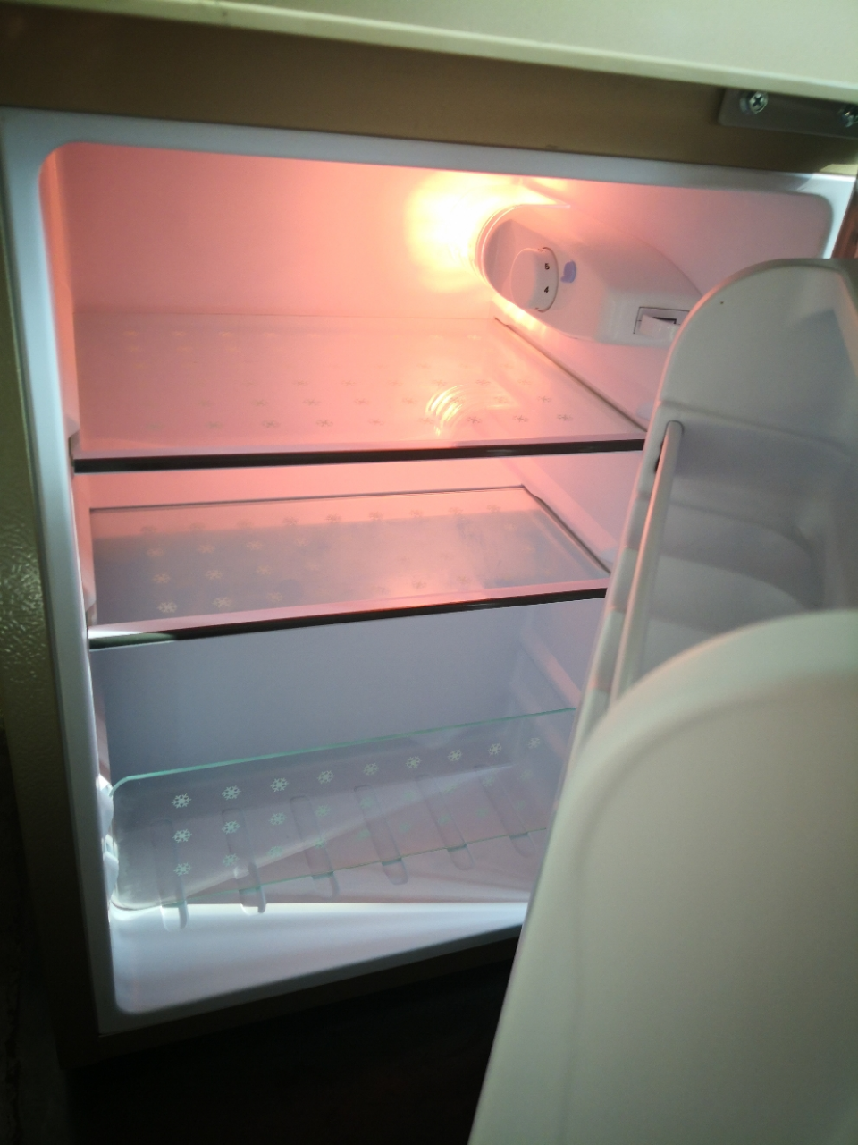 日樱(riying) 82升 双门冰箱 小型家用 电冰箱直冷 冷藏冷冻 迷你宿舍