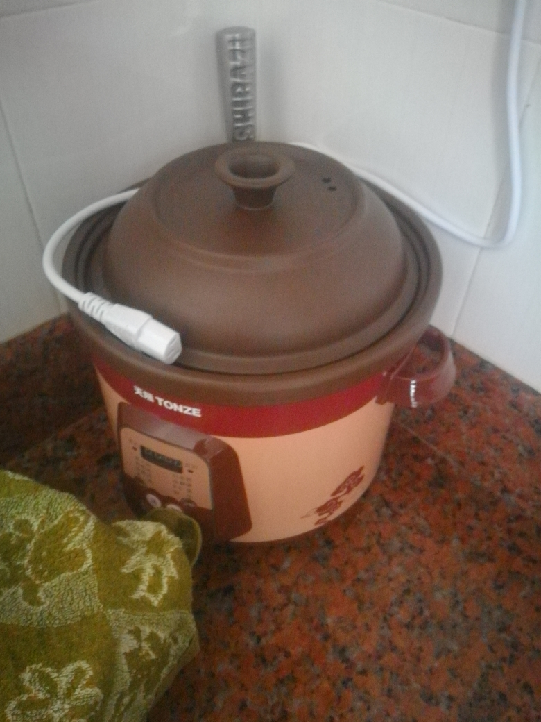 天际dgd50-50zwd紫砂电炖锅紫砂内胆单胆煮粥煲汤锅陶瓷家用砂锅全