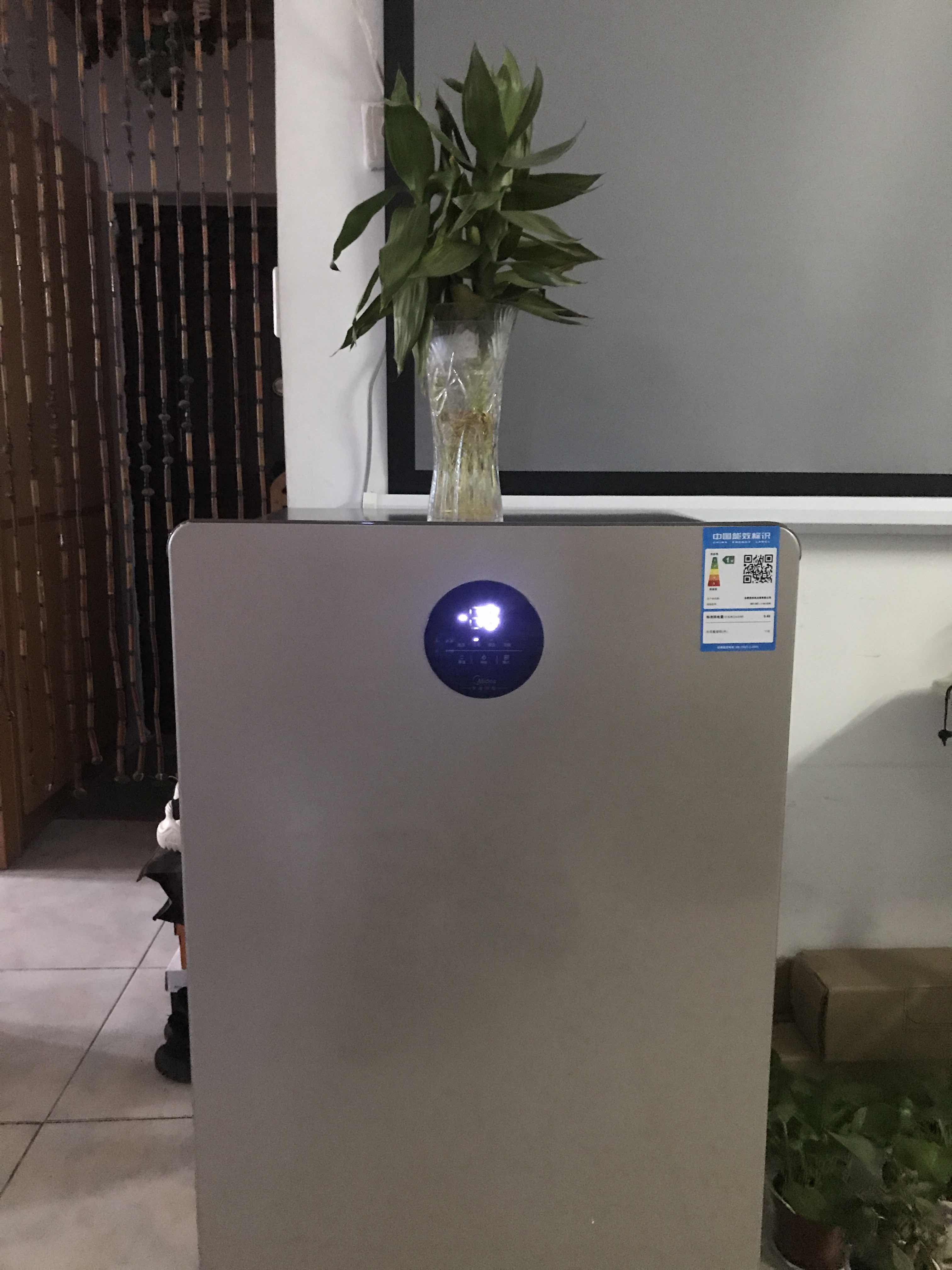 118升 冷藏冷冻转换 一级能效 智能控温 净味阻霜 家用节能大冰柜立式