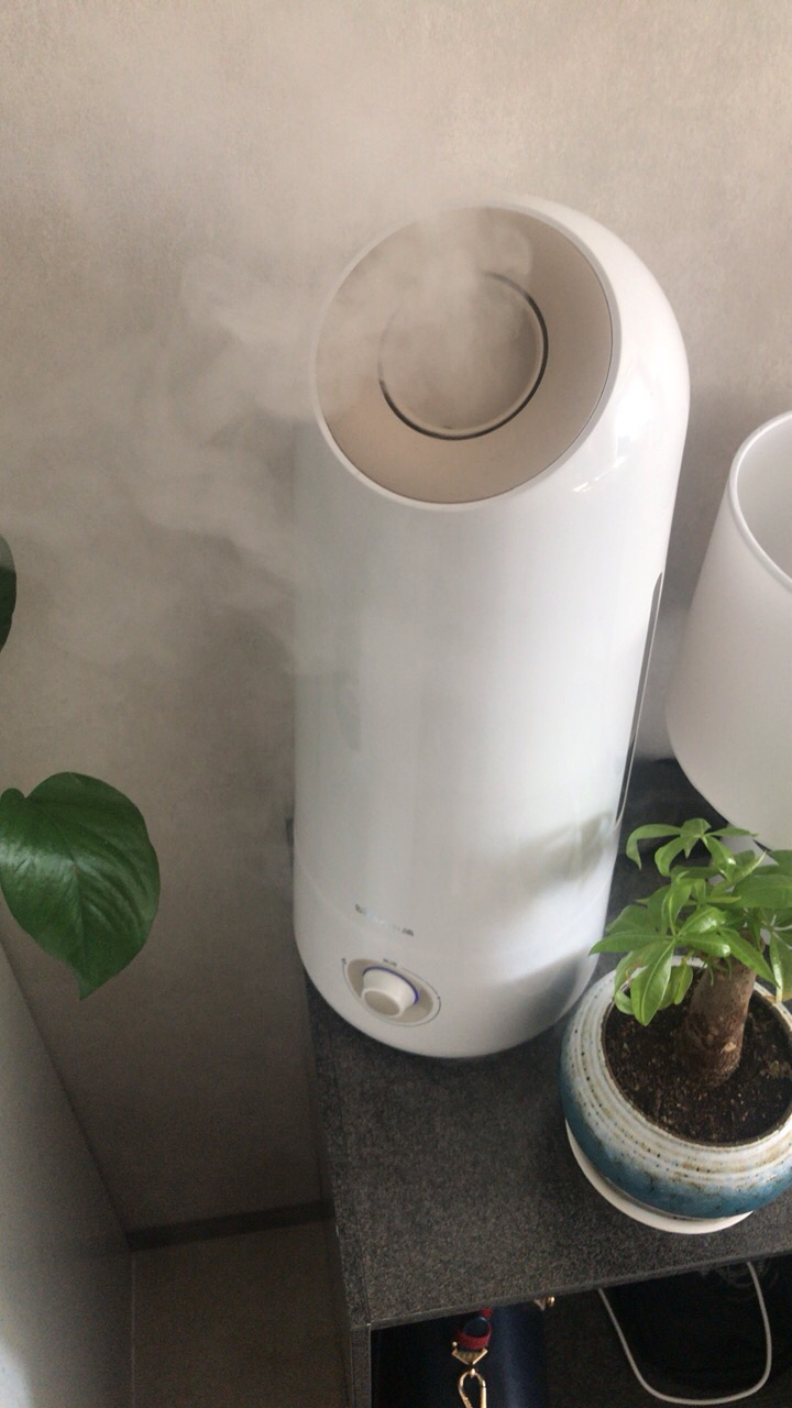 小熊(bear)加湿器jsq-c50x5 5升大容量落地式家用卧室客厅静音加湿机