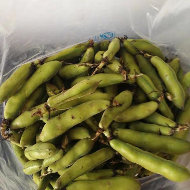 中华特色宜宾馆四川农家新鲜胡豆蚕豆罗汉豆兰花豆当季蔬菜4斤余氏金