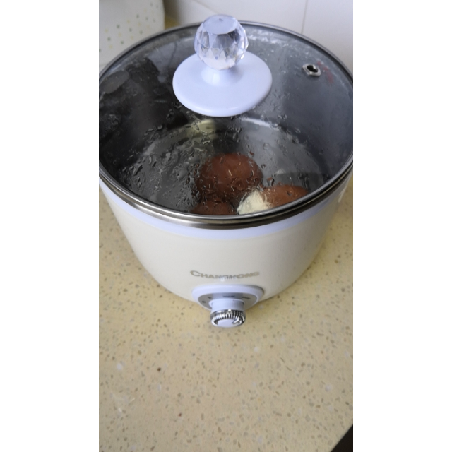 多功能宿舍锅学生锅煮面小锅12人3迷你寝室小电锅煮粥神器用电蒸锅打