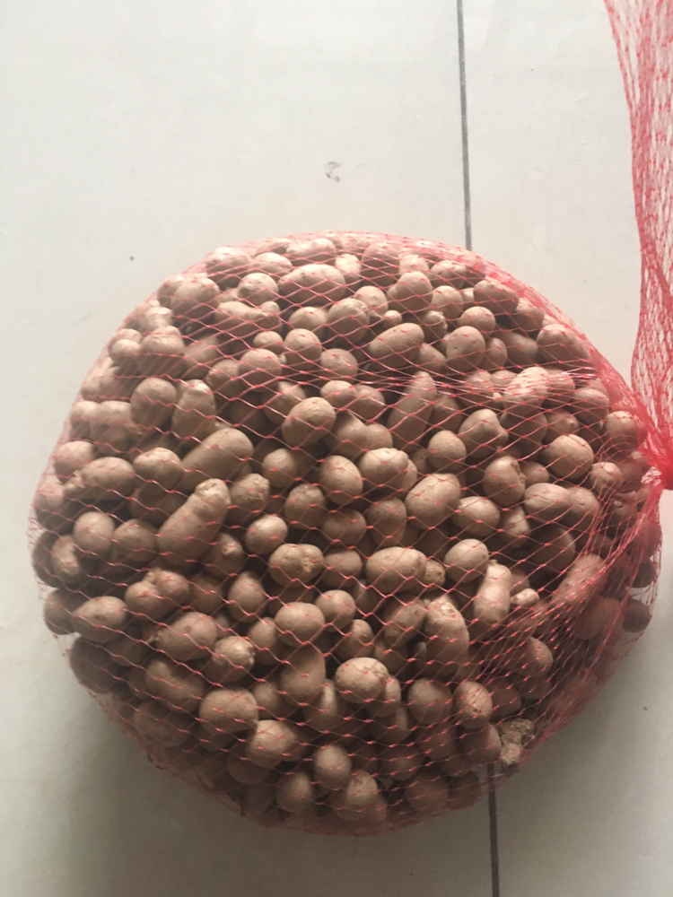 【中华特色馆】菏泽馆 新鲜铁棍山药豆1000g山药果实网兜装原产地直采