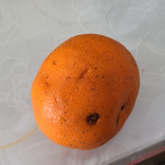 5斤到10斤果径60mm以上永春芦柑橘桔子商品评价 > 全部都坏了