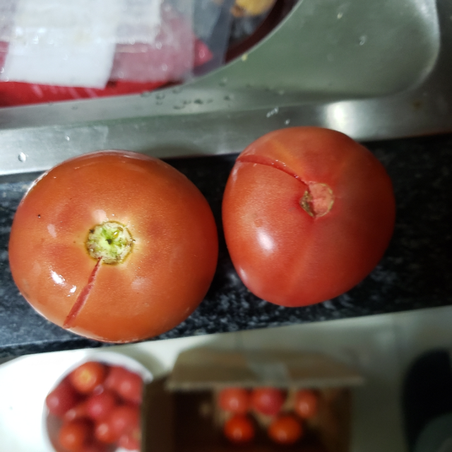 攀枝花露天红囊新鲜自然熟西红柿 5斤 约20-30个 坏果按比例赔付 2月