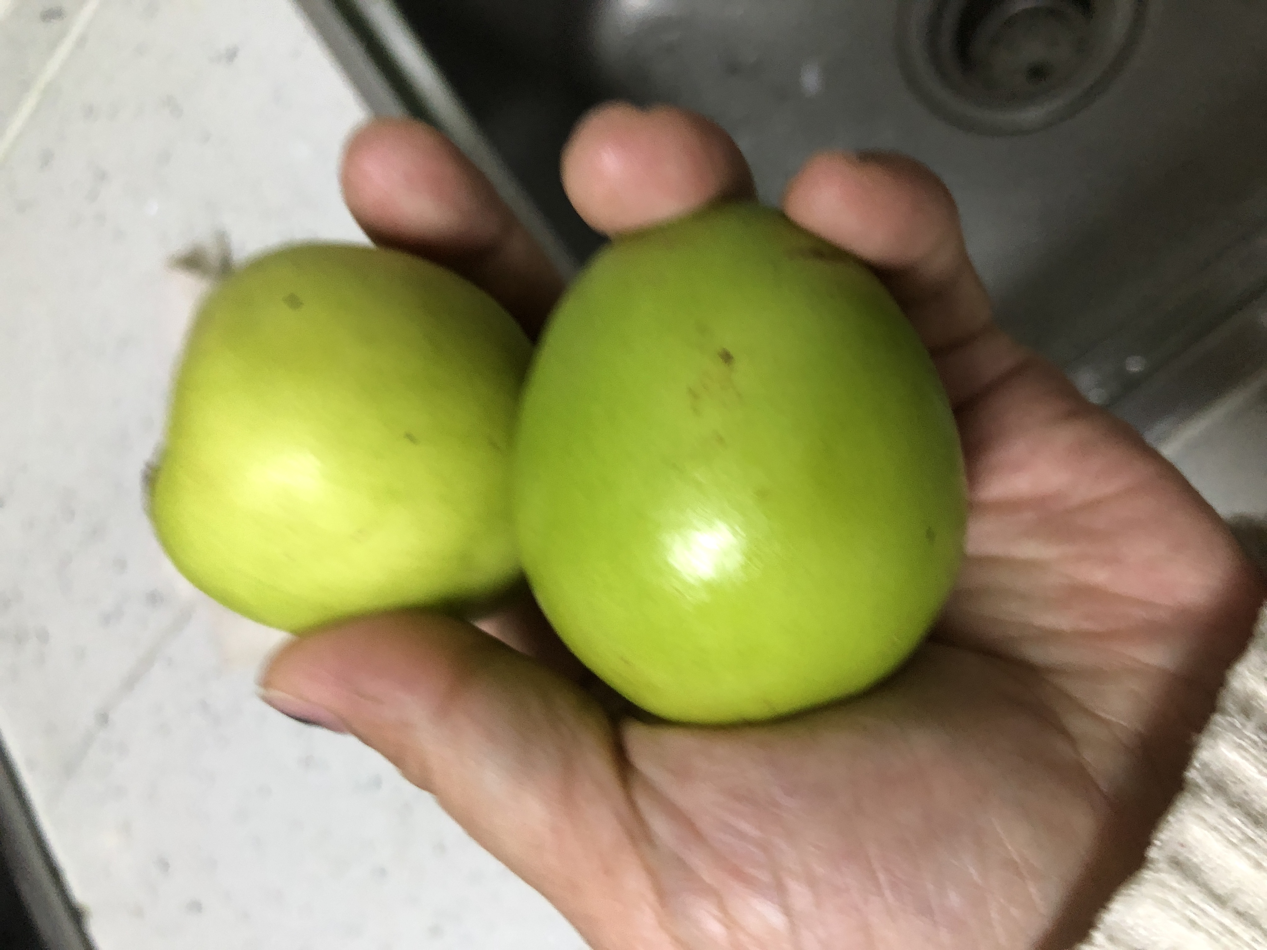 【天府生鲜】福建贵妃蜜枣 新鲜水果 甜美可口 净重5.