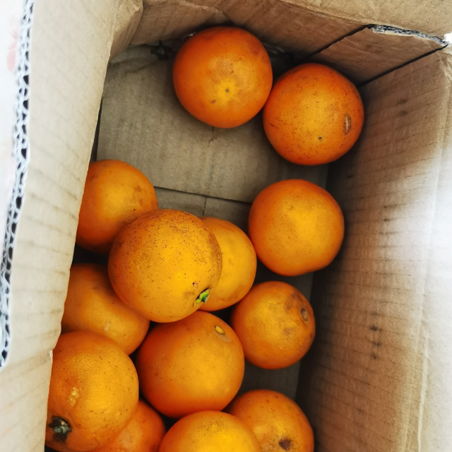 小苏的农庄定制湖南冰糖橙2斤装迷你冰糖柑小甜橙冰糖泡纯甜小橙橙子